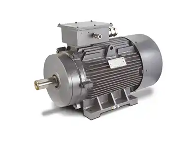 Multi-speed Motors